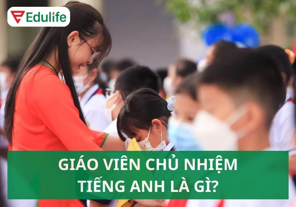 Giáo viên chủ nhiệm tiếng Anh là gì? Vai trò và trách nhiệm trong việc phát triển toàn diện học sinh