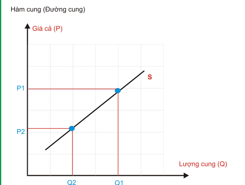 Đặc điểm nổi bật của hàm số cung