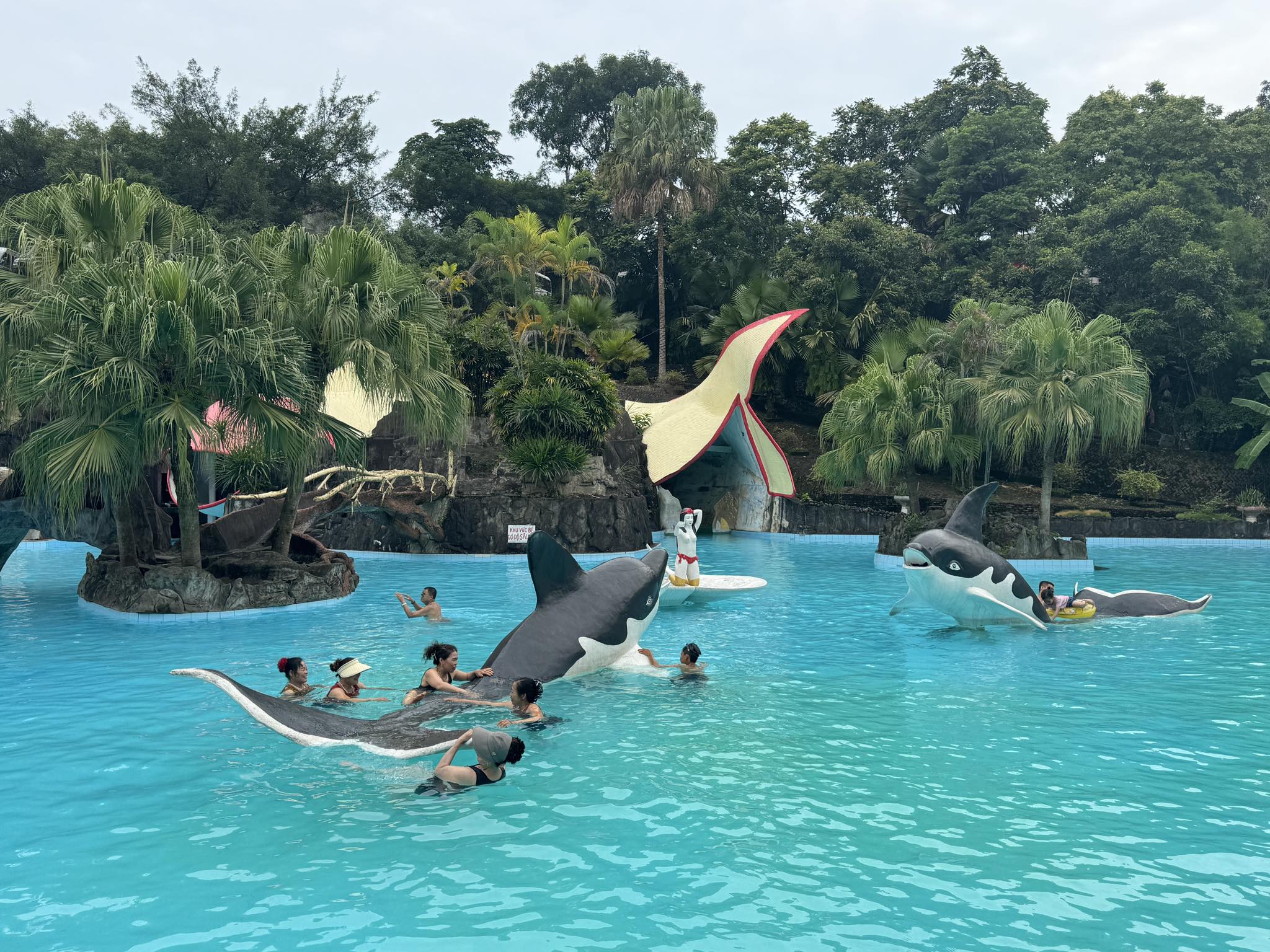 518340524 761078153145569 1744670726931225819 n