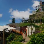 487298745 2803308213390050 1088408206824397993 n